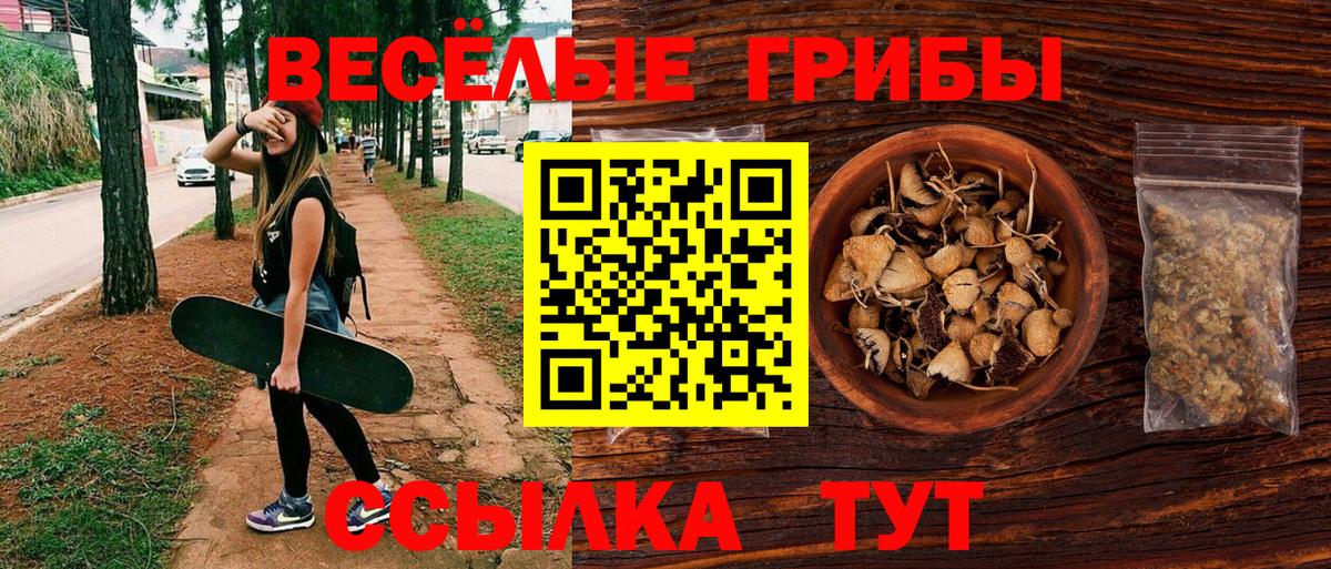 Грязи  Галлюциногенные грибы MAGIC MUSHROOMS  Псилоцибиновые грибы мицелий  Вход с VPN 